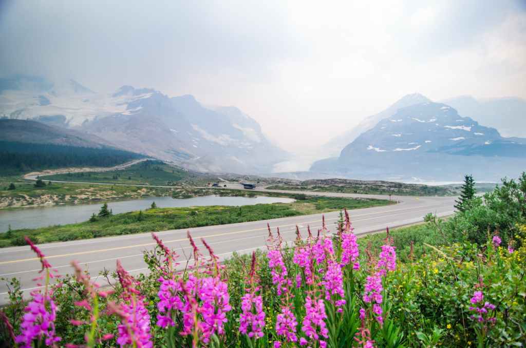 Migrate an older NAV Database to BC Cloud… in only one step…